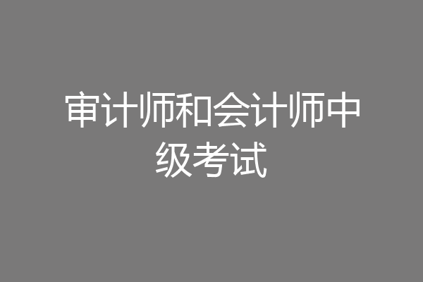 审计师和会计师中级考试