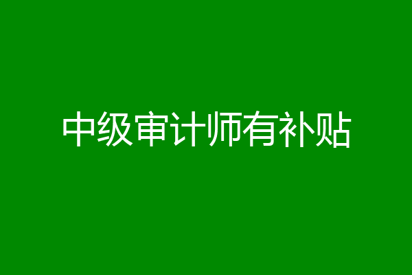 中级审计师有补贴