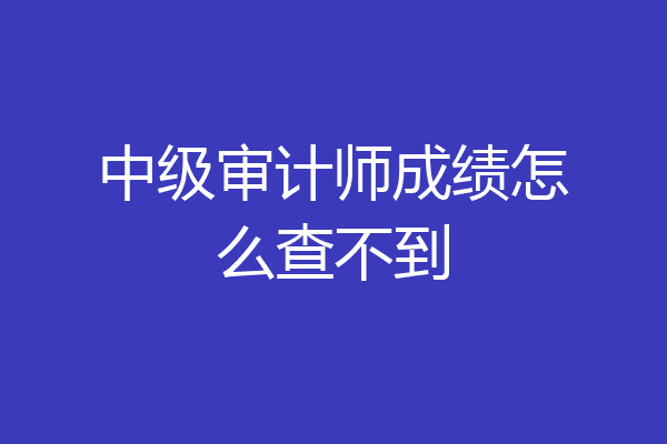 中级审计师成绩怎么查不到