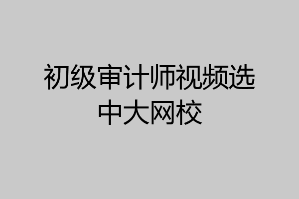 初级审计师视频选中大网校