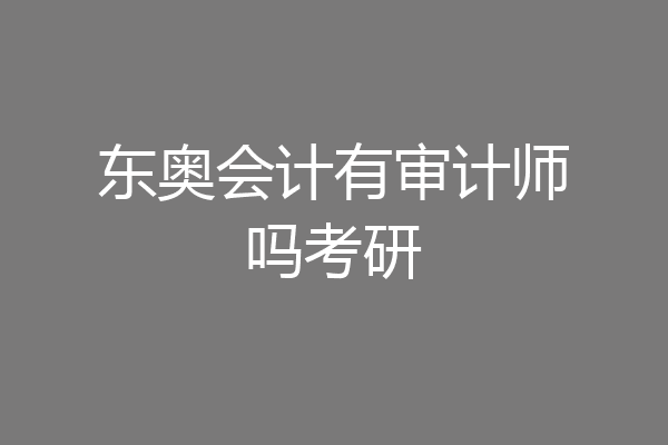 东奥会计有审计师吗考研