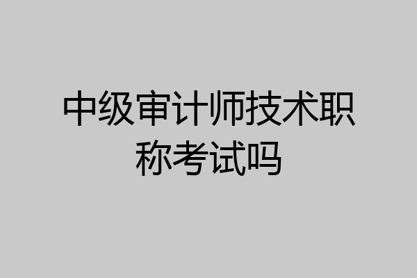 中级审计师技术职称考试吗