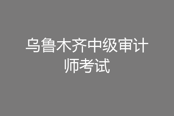 乌鲁木齐中级审计师考试