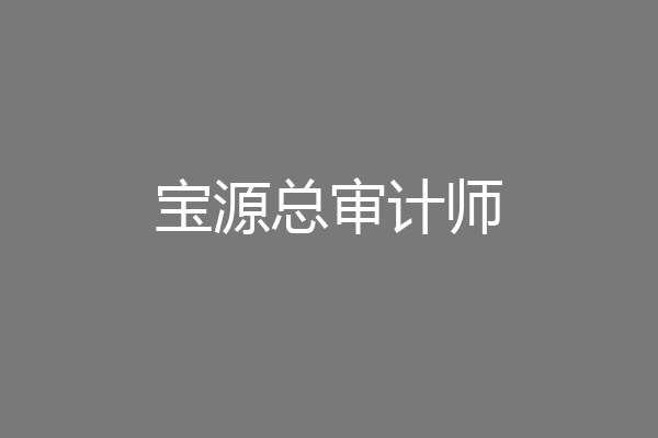 宝源总审计师