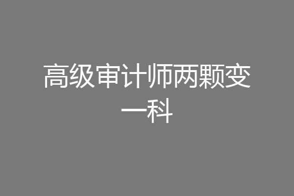 高级审计师两颗变一科
