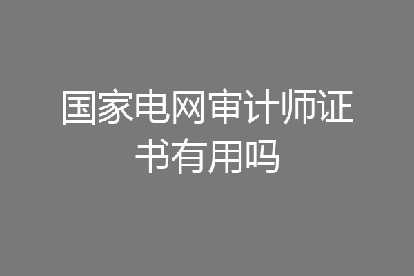 国家电网审计师证书有用吗