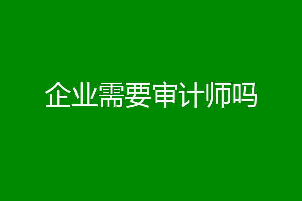 企业需要审计师吗