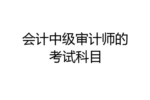 会计中级审计师的考试科目