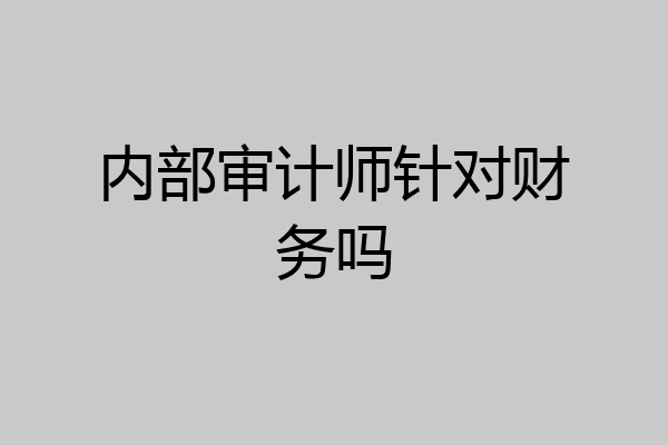 内部审计师针对财务吗