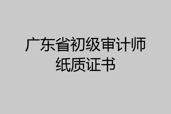 广东省初级审计师纸质证书