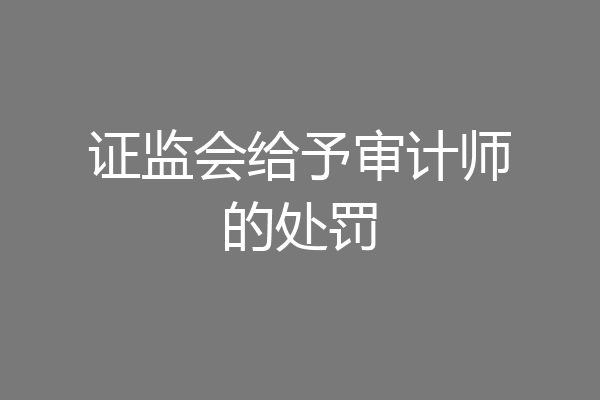 证监会给予审计师的处罚