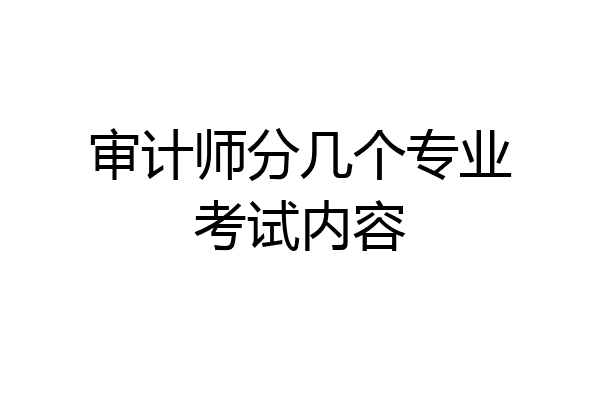 审计师分几个专业考试内容