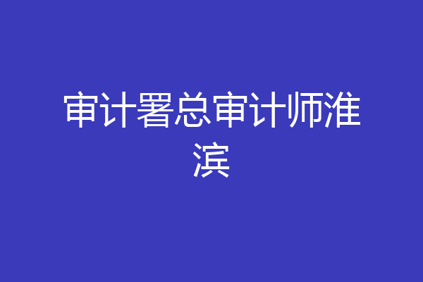 审计署总审计师淮滨
