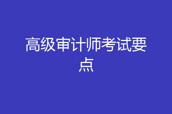 高级审计师考试要点