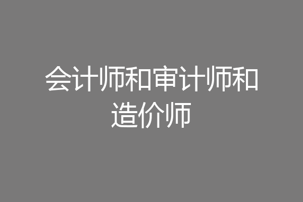 会计师和审计师和造价师