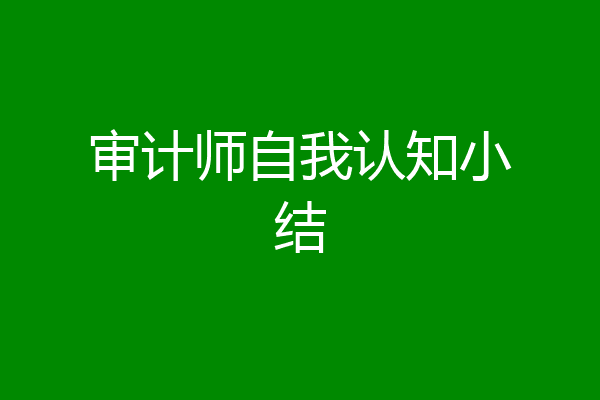 审计师自我认知小结