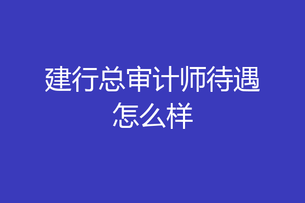 建行总审计师待遇怎么样