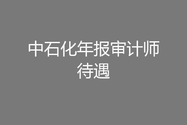 中石化年报审计师待遇