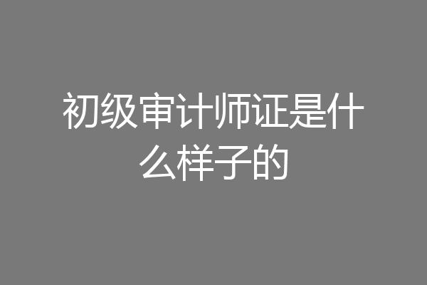 初级审计师证是什么样子的