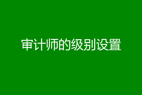 审计师的级别设置