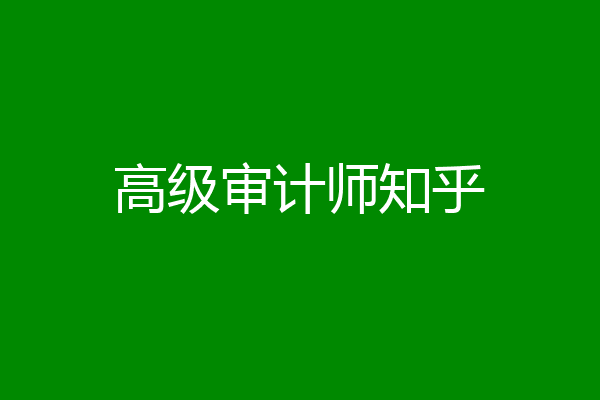 高级审计师知乎