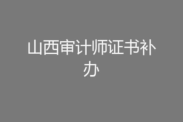 山西审计师证书补办