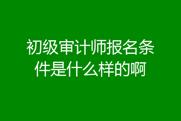 初级审计师报名条件是什么样的啊