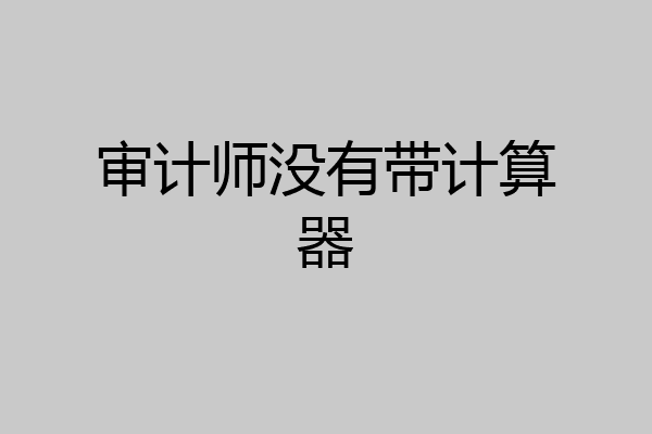 审计师没有带计算器
