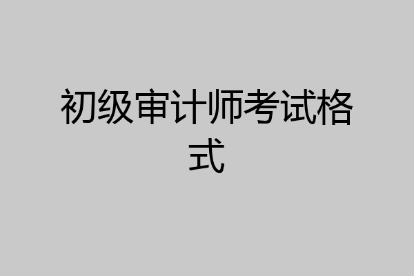 初级审计师考试格式