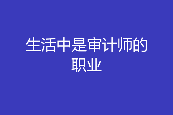 生活中是审计师的职业