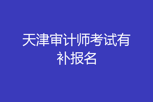 天津审计师考试有补报名
