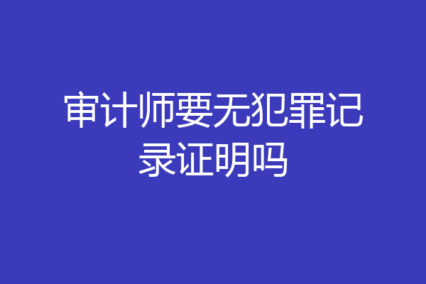 审计师要无犯罪记录证明吗