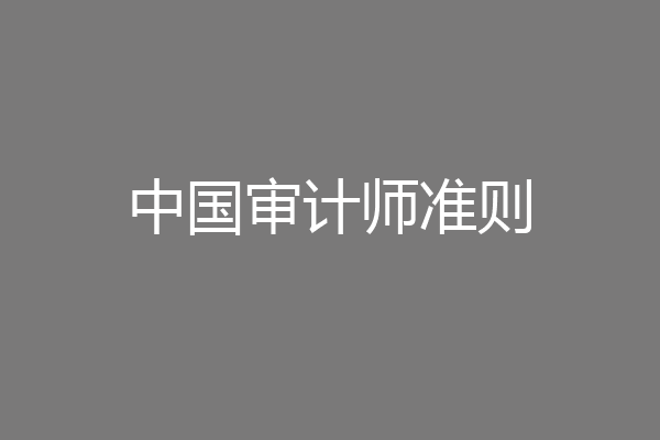 中国审计师准则