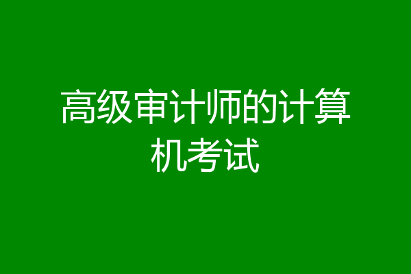 高级审计师的计算机考试