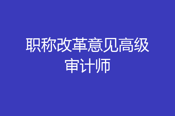 职称改革意见高级审计师