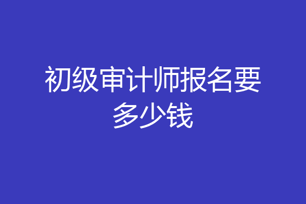 初级审计师报名要多少钱
