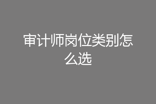 审计师岗位类别怎么选