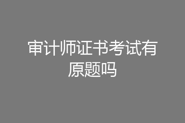 审计师证书考试有原题吗