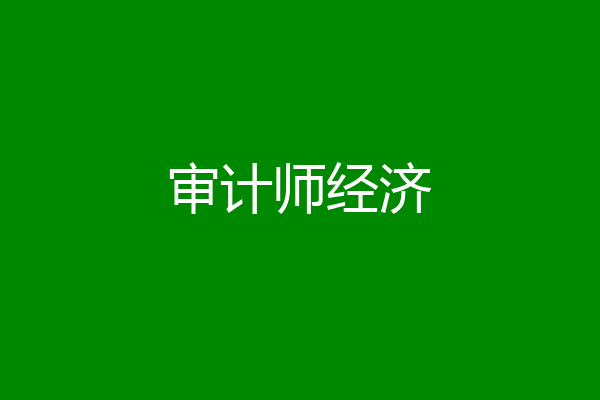 审计师经济