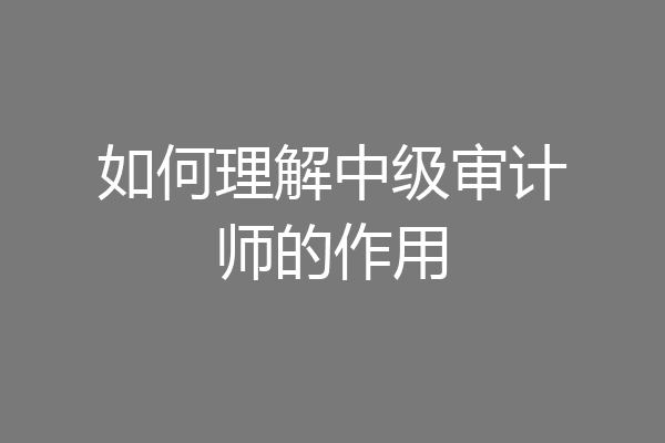 如何理解中级审计师的作用