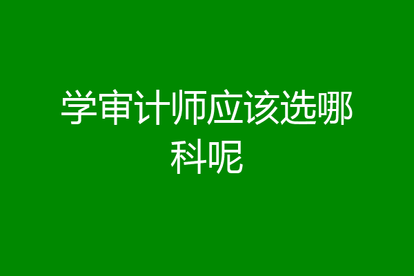 学审计师应该选哪科呢