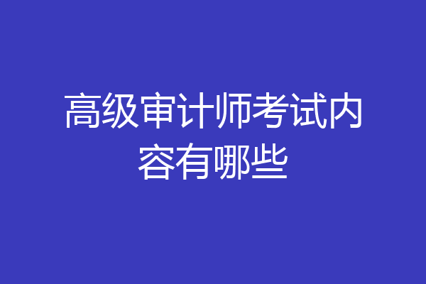 高级审计师考试内容有哪些