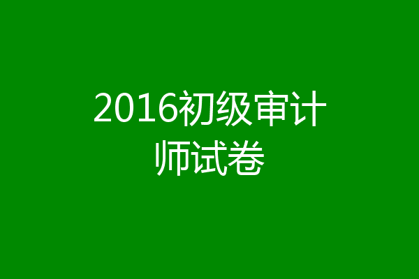 2016初级审计师试卷