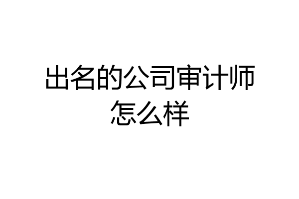 出名的公司审计师怎么样