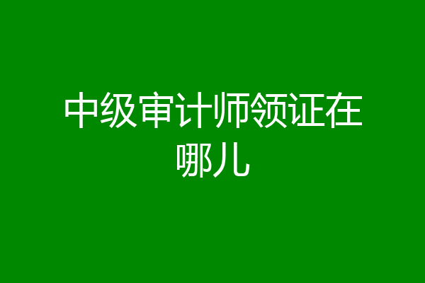 中级审计师领证在哪儿