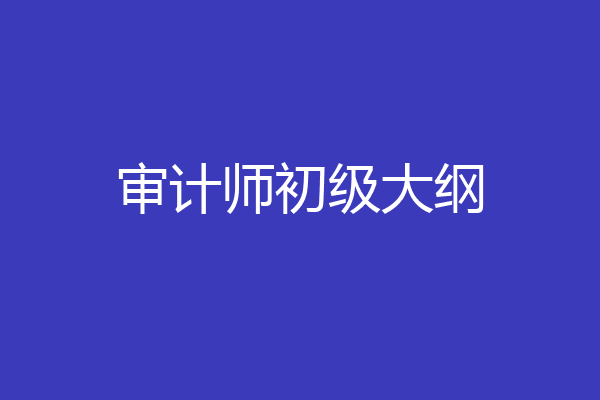 审计师初级大纲