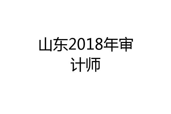 山东2018年审计师