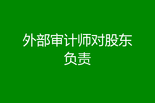 外部审计师对股东负责