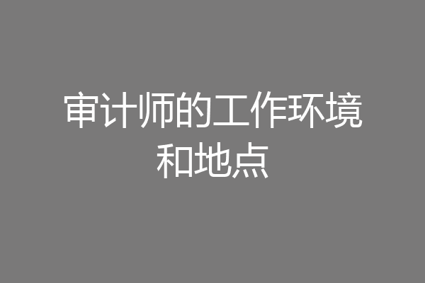 审计师的工作环境和地点