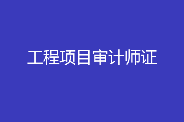 工程项目审计师证